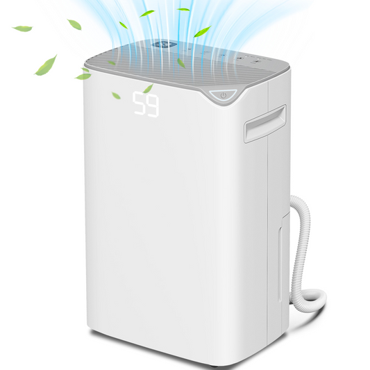 20L/Day Small Dehumidifier for Home Damp Laundry, with 24H Timer