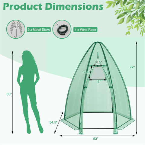 Hexagonal Mini Greenhouse with Zipper Door & Roll-Up Window, PE Cover Outdoor Plant House