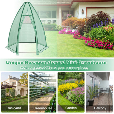 Hexagonal Mini Greenhouse with Zipper Door & Roll-Up Window, PE Cover Outdoor Plant House