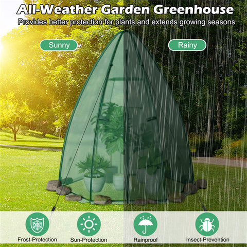 Hexagonal Mini Greenhouse with Zipper Door & Roll-Up Window, PE Cover Outdoor Plant House