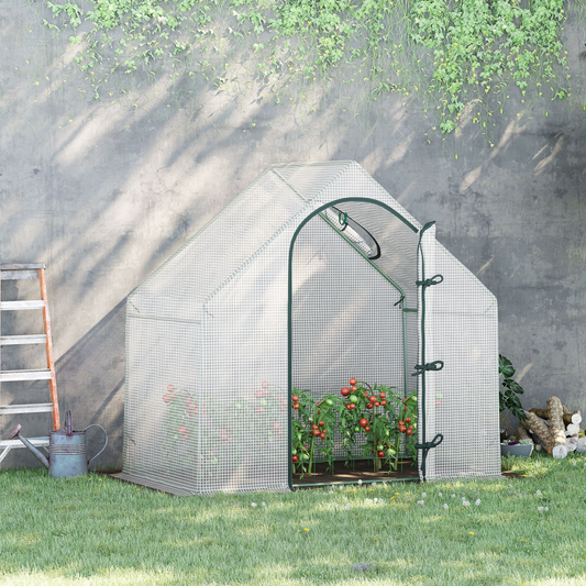 Greenhouse with plants against a gray wall