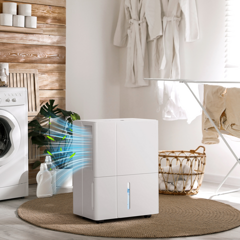 30L Dehumidifier with Filter, Auto Defrost, for Home Laundry Drying