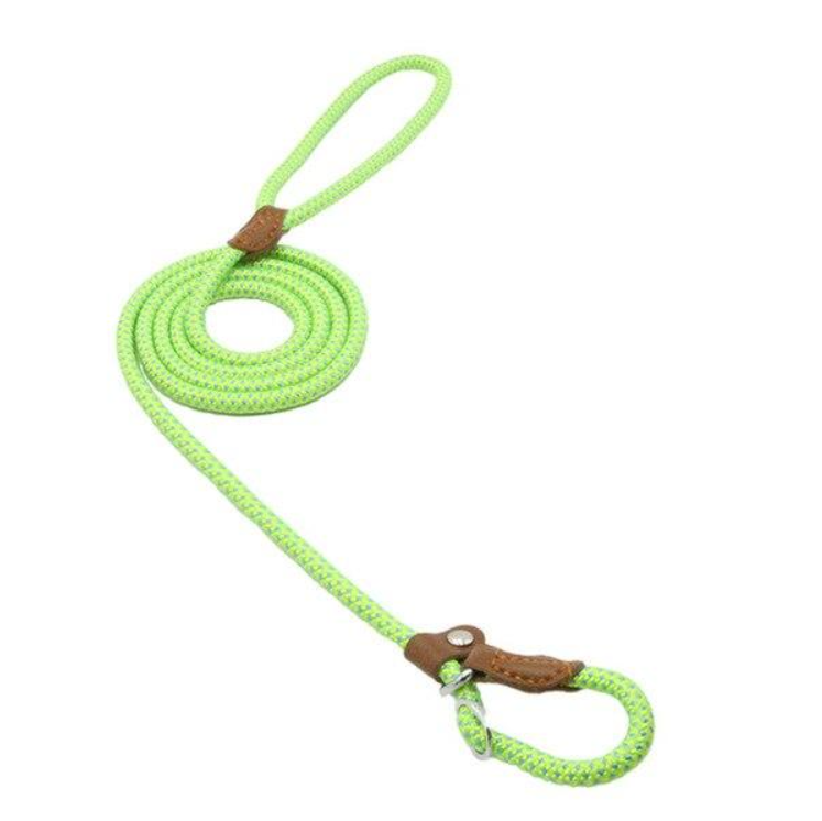 Green rope dog leash with brown leather loops on a white background