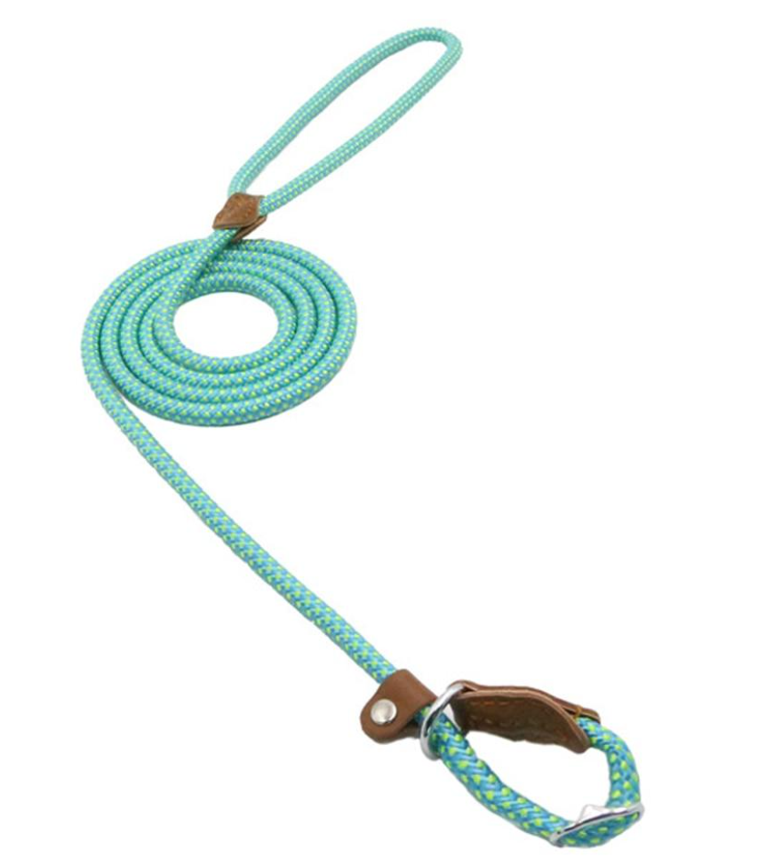 Teal dog leash with brown leather handle on a white background