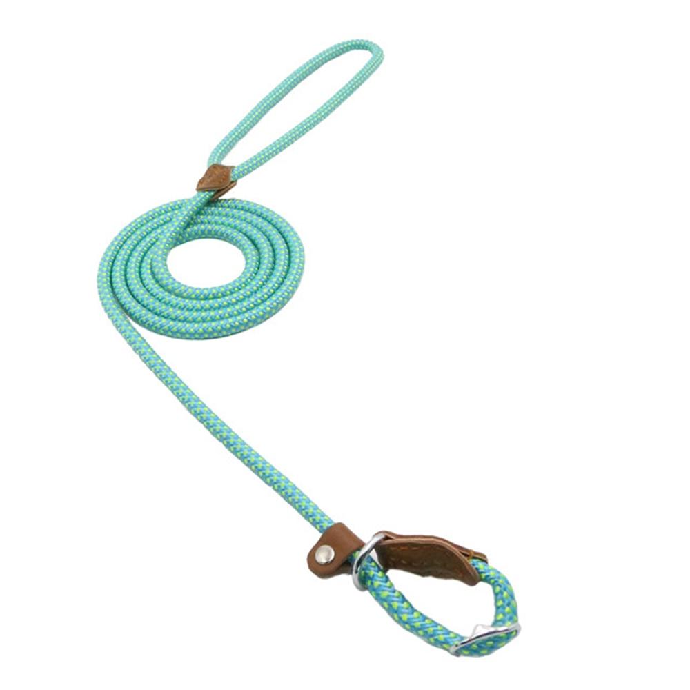 Teal dog leash with brown leather loops on a white background
