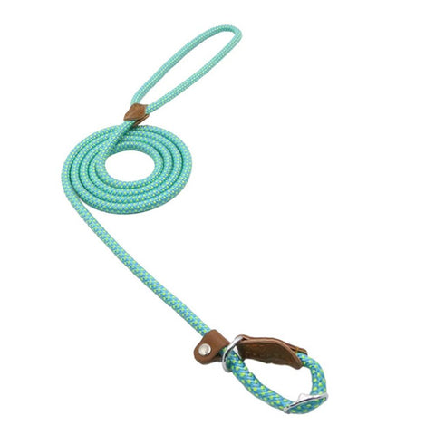 Teal dog leash with brown leather loops on a white background