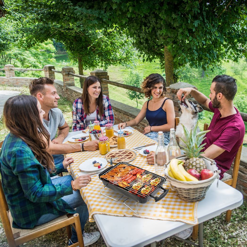 Group of people enjoying a barbecue outdoors with a scenic background