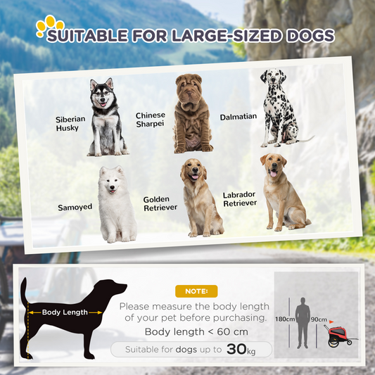 Poster of dogs suitable for large-sized dogs with a scenic background