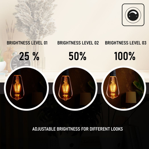 2Pack E27 LED Edison Dimmable Vintage Amber Glass Warm white 2700K Light Bulb