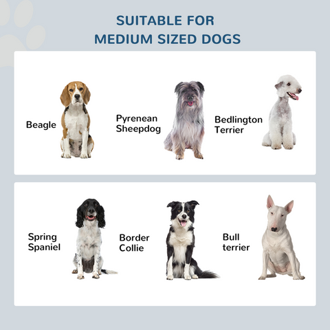 Raised Dog Bowls Pet Feeder Elevated Double Stainless Steel Water Brown Pawhut