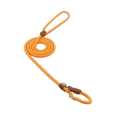 Orange dog leash with brown leather handles on a white background