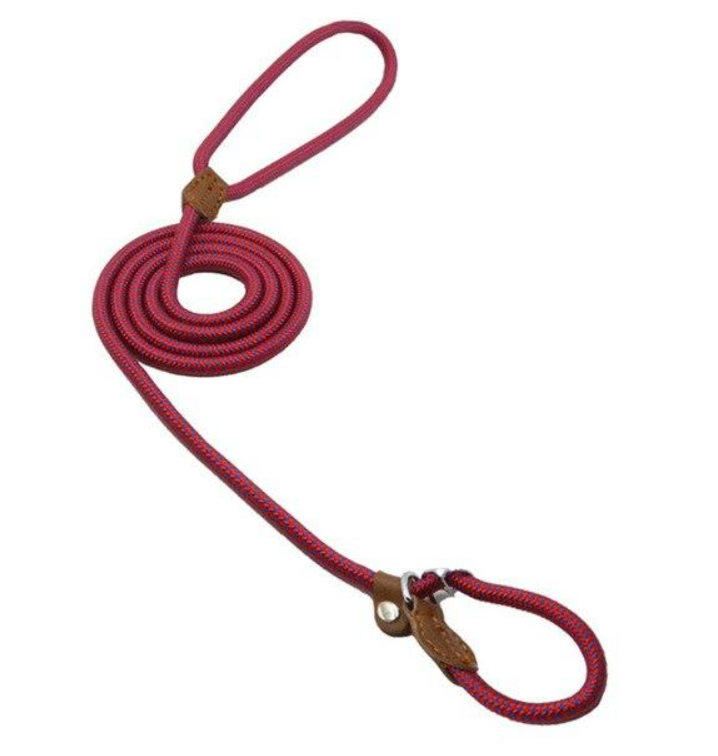 Red dog leash with brown leather ends on a white background
