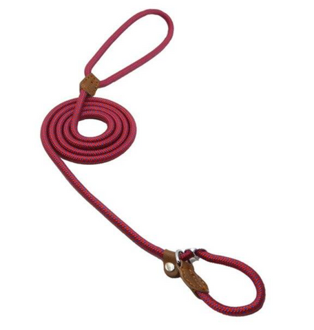 Red dog leash with brown leather ends on a white background