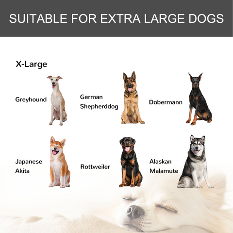 81x125cm Metal Dog Cage Kennel Locking Door & Wheels Extra Large Pets Pawhut