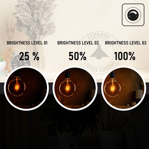 2 Pack E27 LED Edison Dimmable Vintage Amber Glass Warm white 2700K Light Bulbs