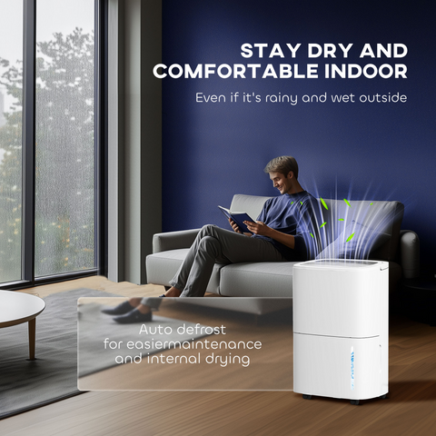 20L/Day Dehumidifier with Continuous Drainage, 5L Water Tank, Timer