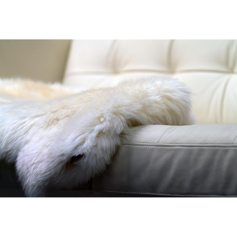 d829ce28-816b-4630-96d8-2f760a61a353.png