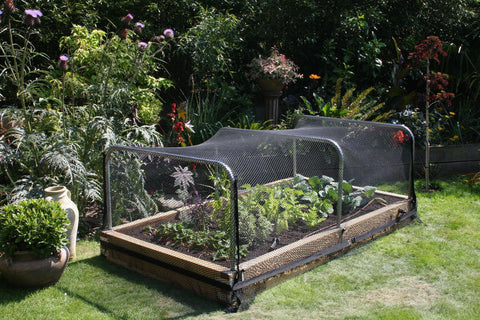 6 X GARDEN NETTING 2M X 10M