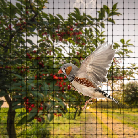 6 X GARDEN NETTING 2M X 10M
