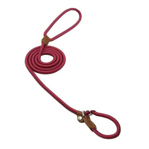 Pink dog leash with brown leather ends on a white background