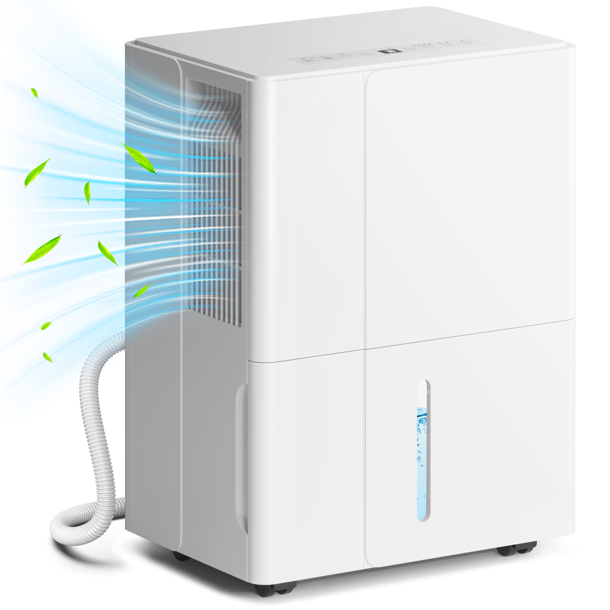 30L Dehumidifier with Filter, Auto Defrost, for Home Laundry Drying