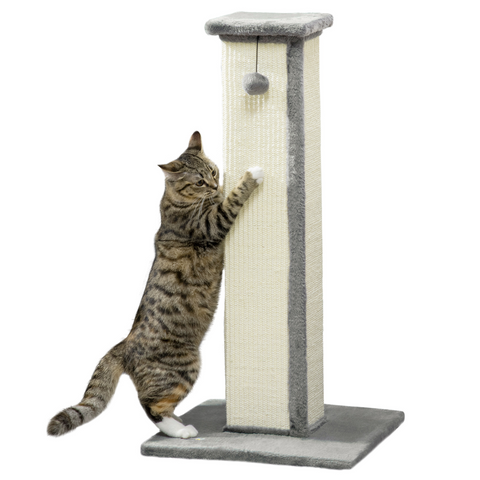 Cat Scratching Post 81cm Cat Scratcher w/ Natural Sisal Rope Hanging Ball Grey